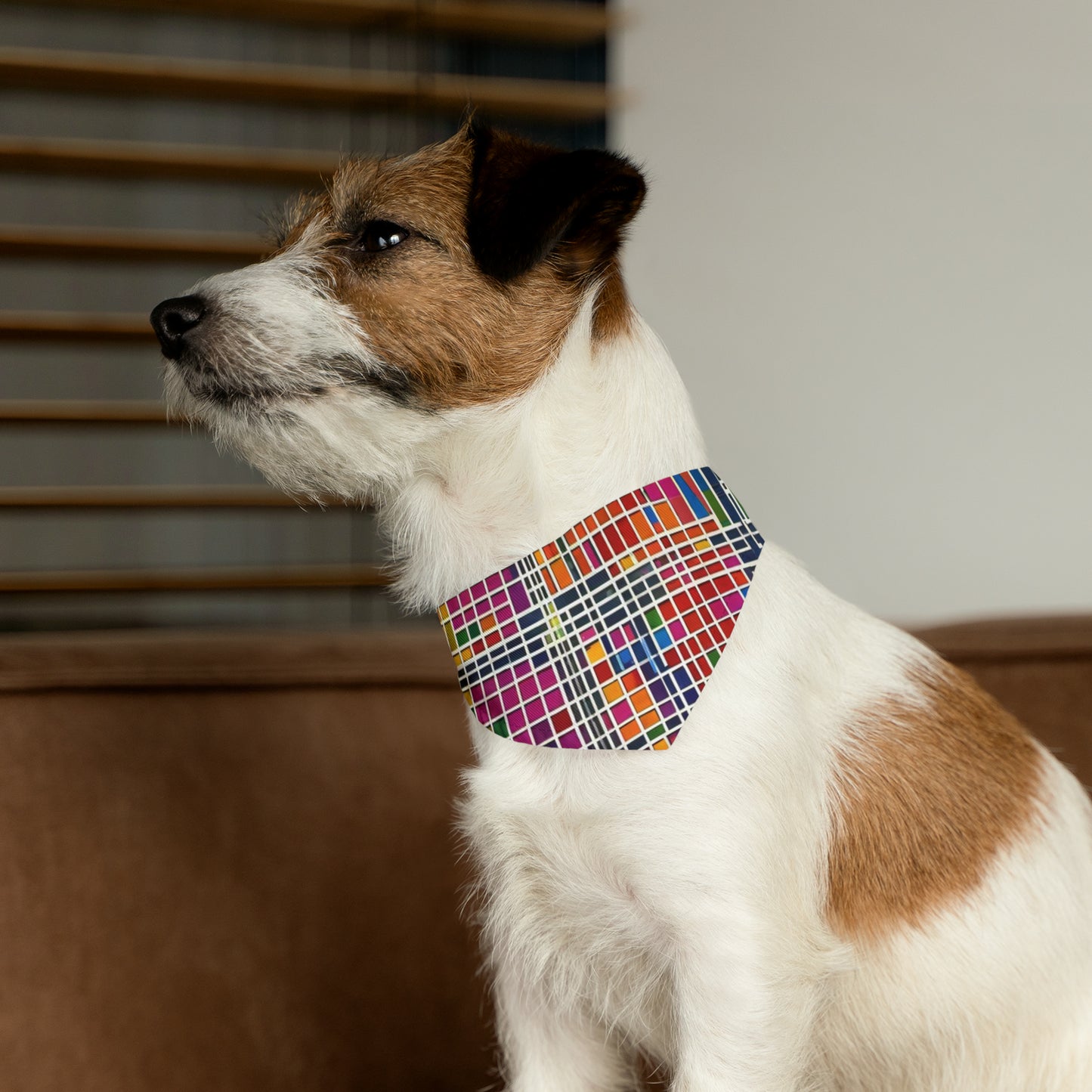 Pet Bandana Collar