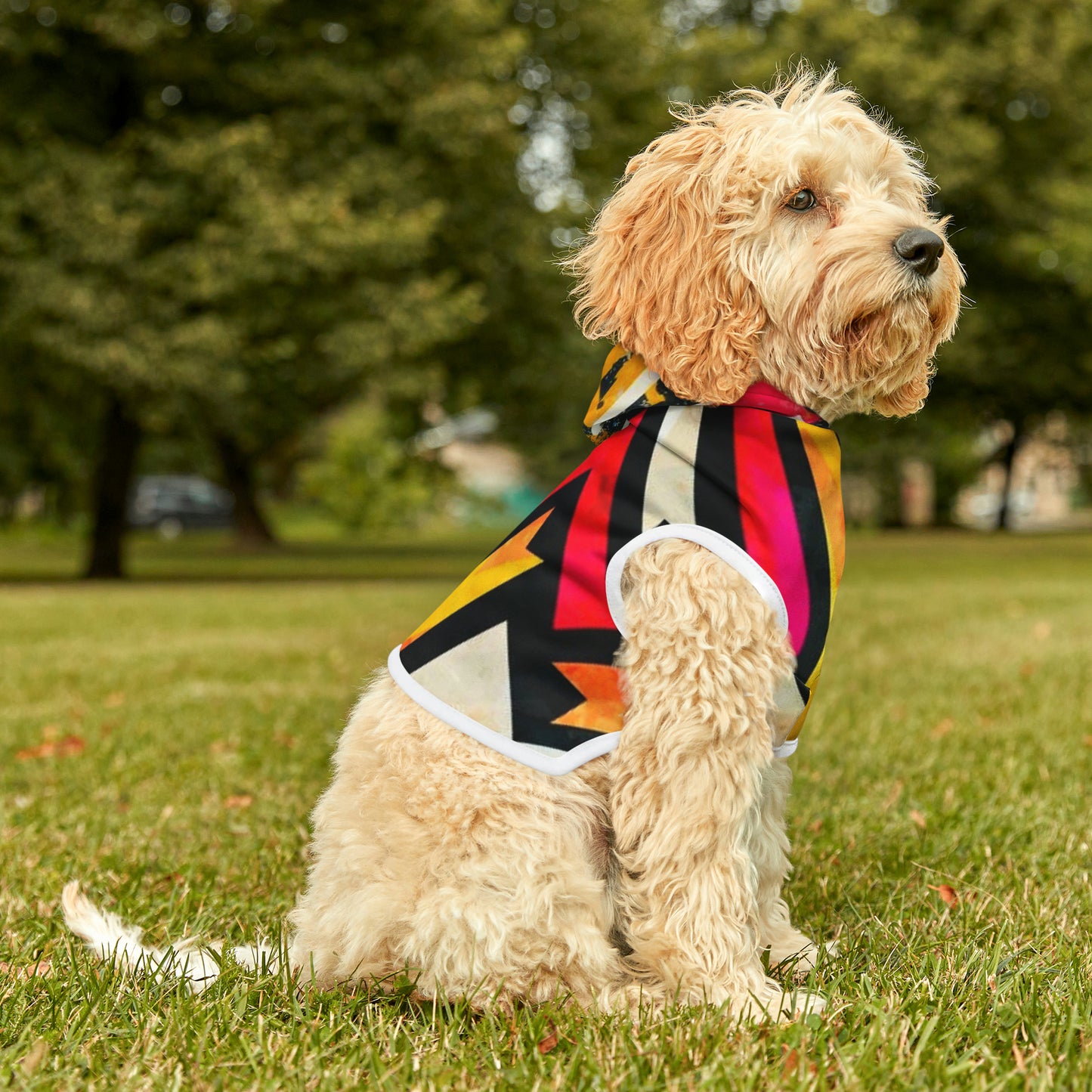 Pet Hoodie