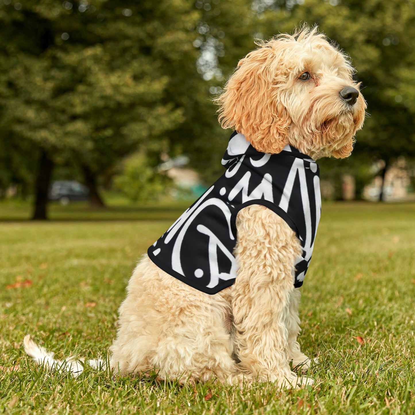 Pet Hoodie