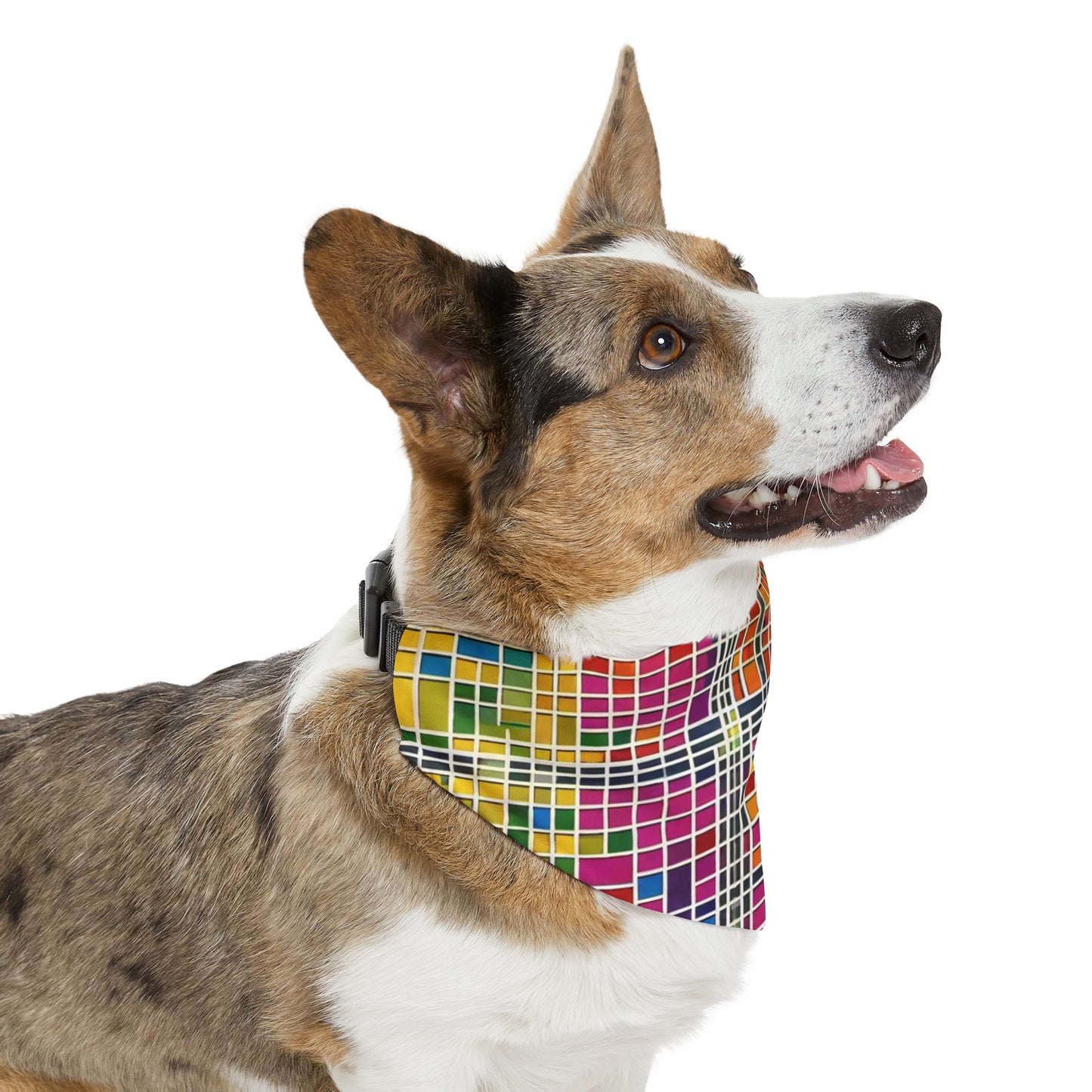 Pet Bandana Collar