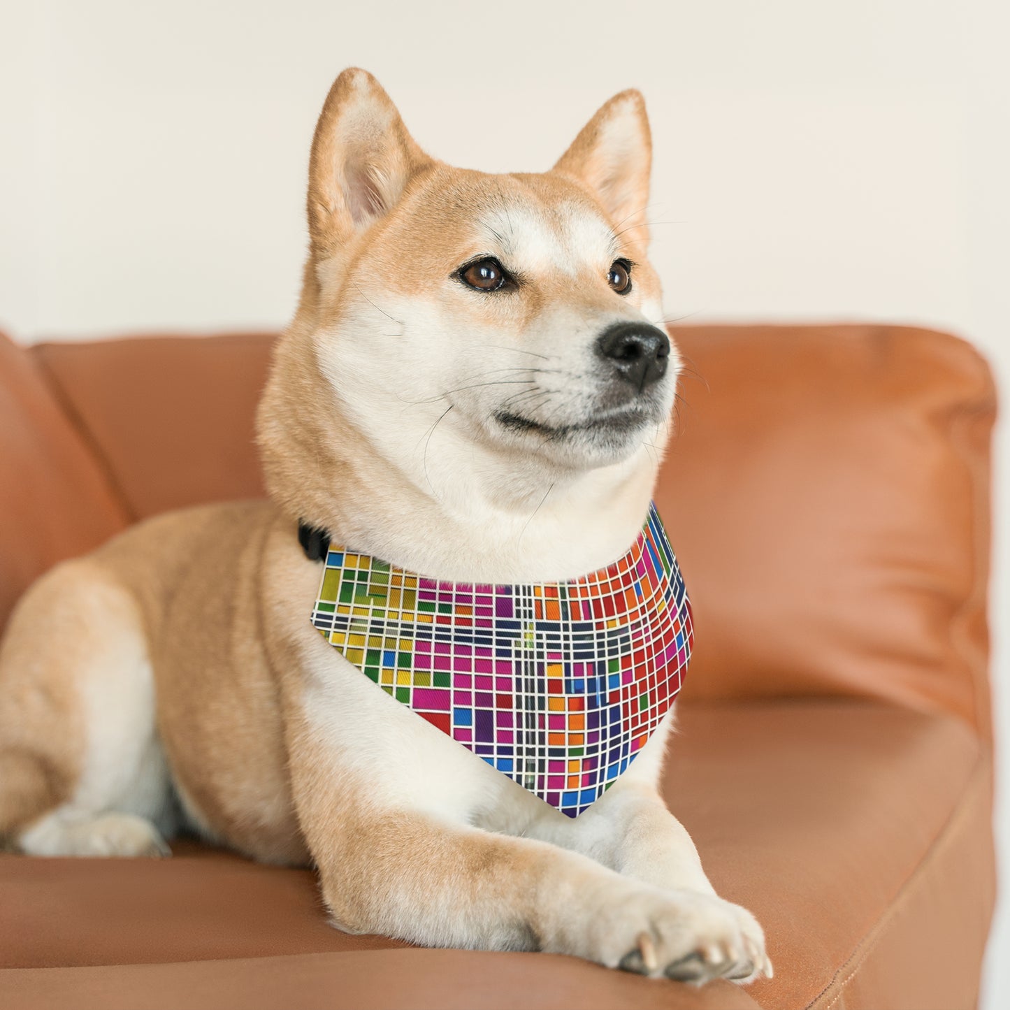 Pet Bandana Collar